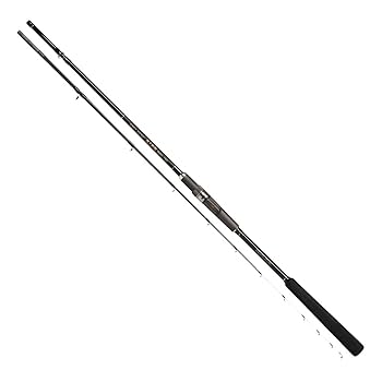宇崎日新 ロッド プロスペック海上釣堀 2WAY 脈釣リZ 3004 2zzhgl6 Amazon | 宇崎日新 ロッド プロスペック海上釣堀 2WAY 脈釣リZ
